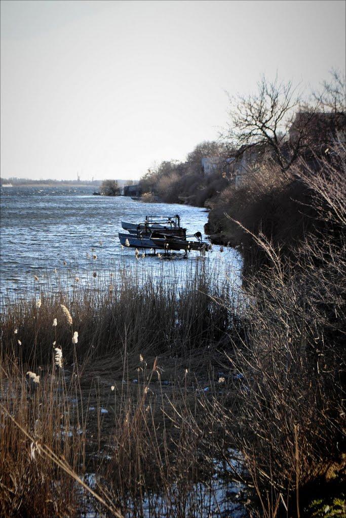 Жовтневе з panoramio.com - Жовтневе