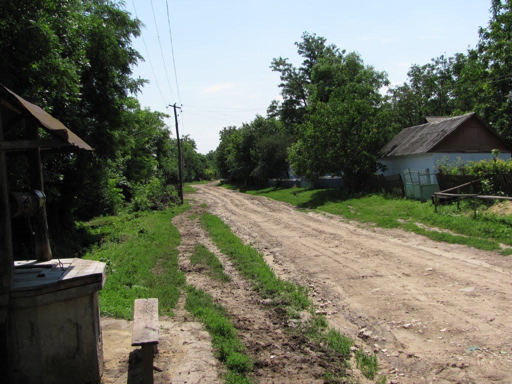 Вознесенськ з panoramio.com - Вознесенськ