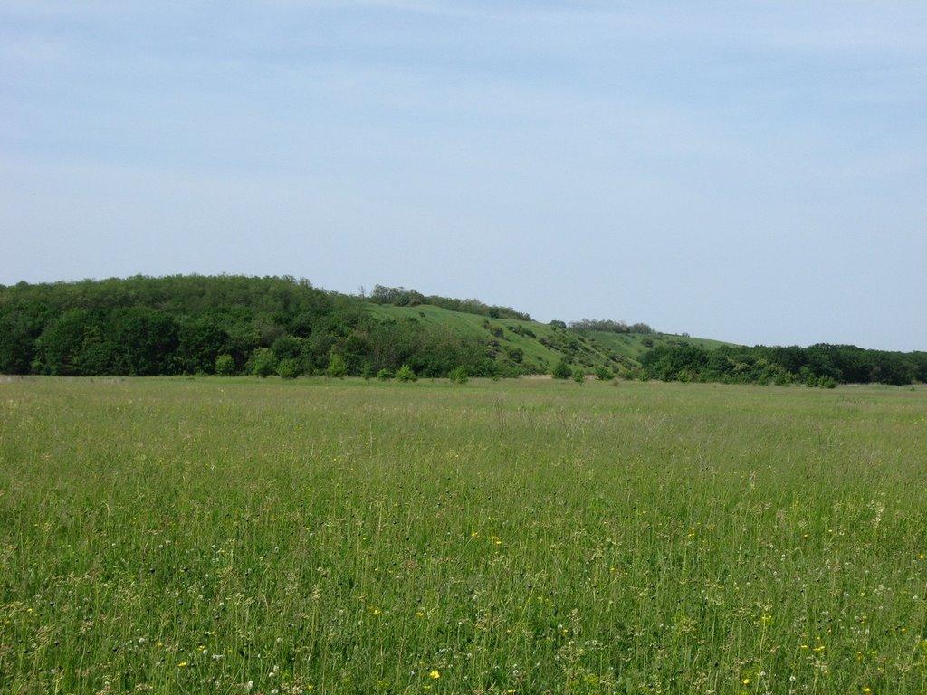 Бабайківка з panoramio.com - Бабайківка