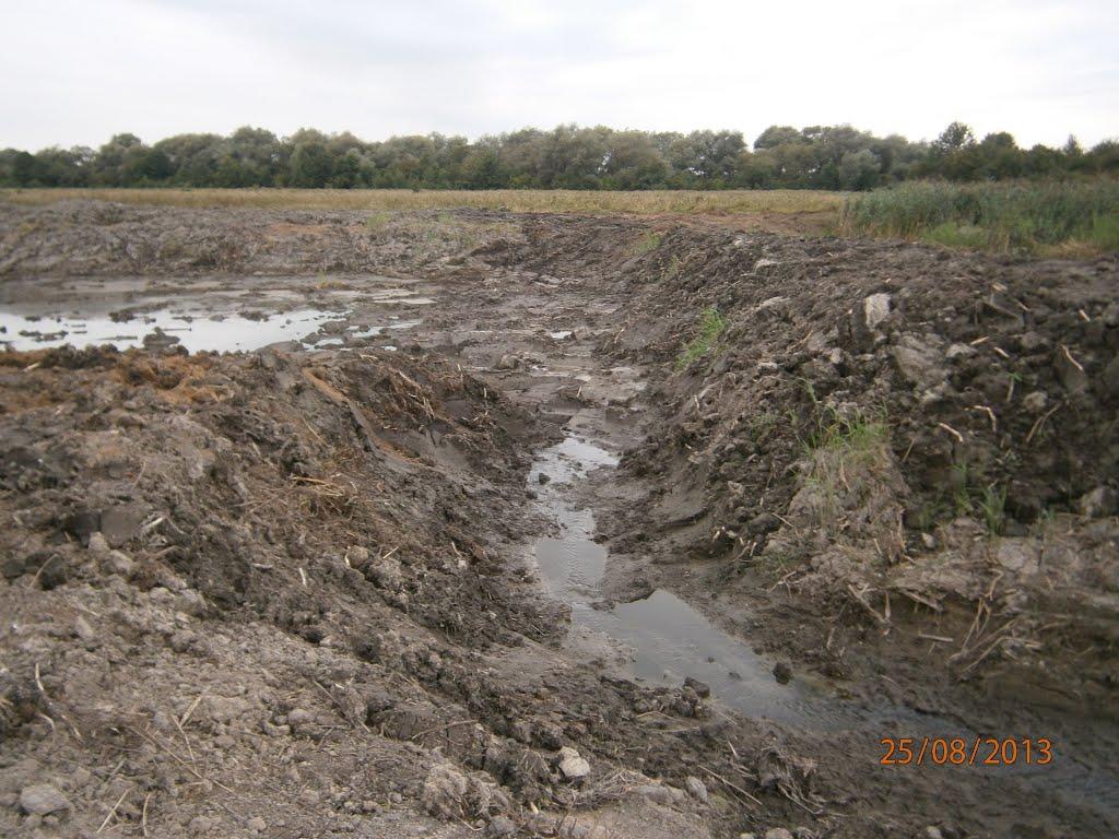 Берездівці з panoramio.com - Берездівці