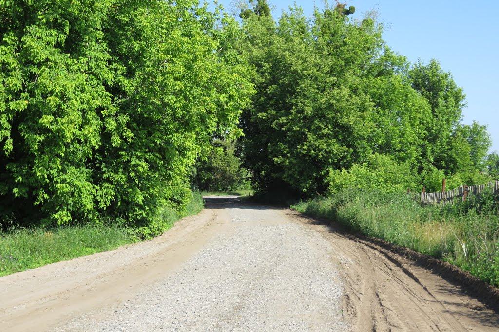 Софіївка з panoramio.com - Софіївка