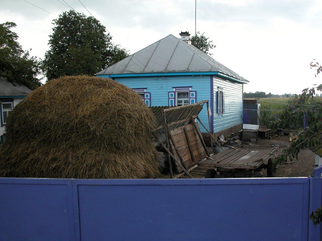 Бакаївка з panoramio.com - Бакаївка