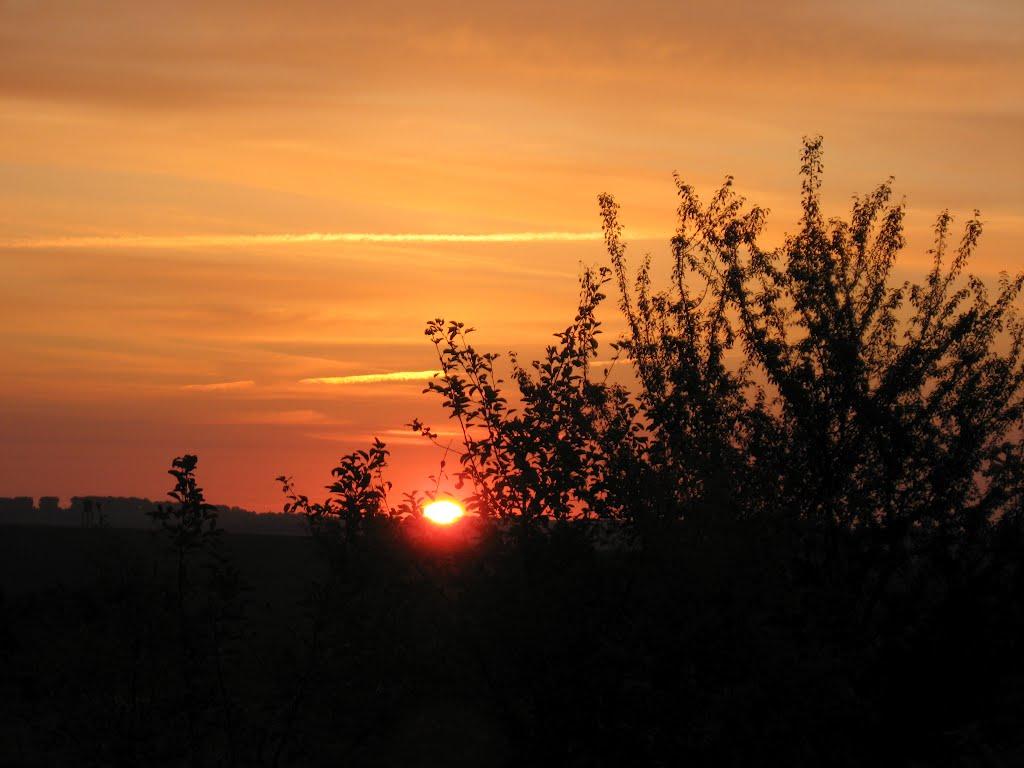 Віньківці з panoramio.com - Віньківці