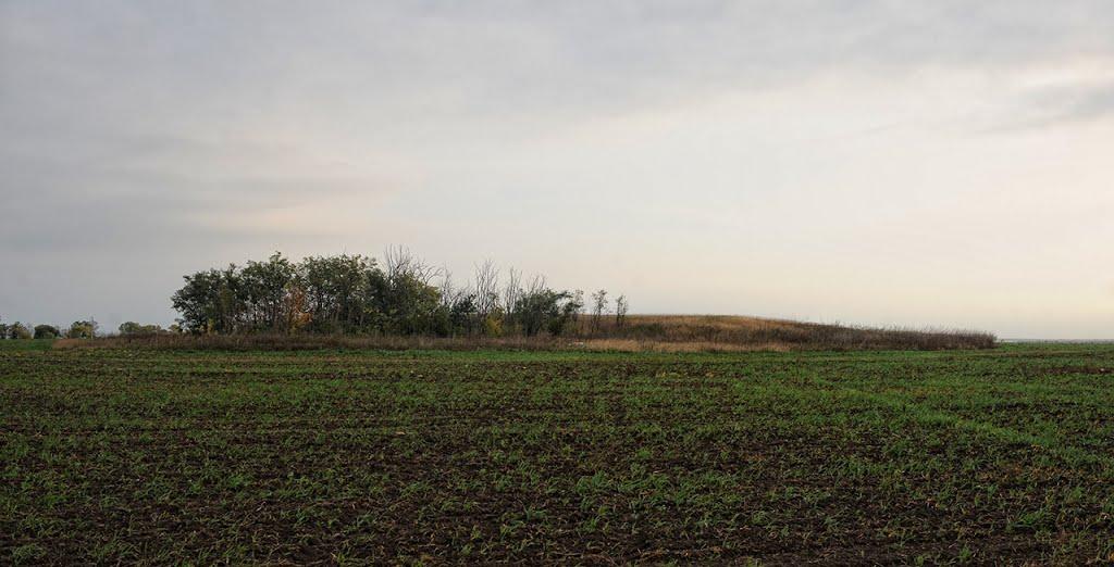 Миколаївка з panoramio.com - Николаевка