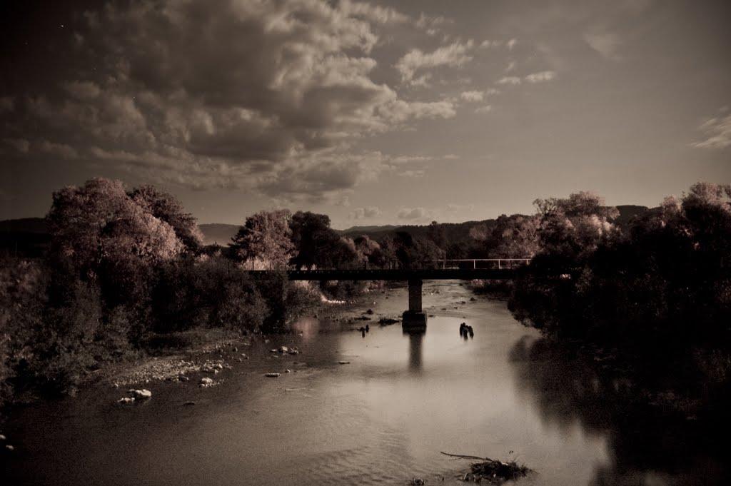 Приборжавське з panoramio.com - Приборжавське