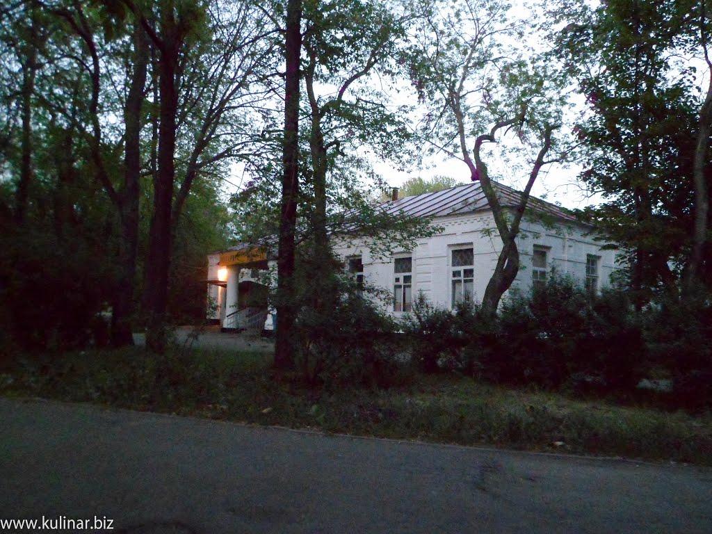 Токмак з panoramio.com - Токмак