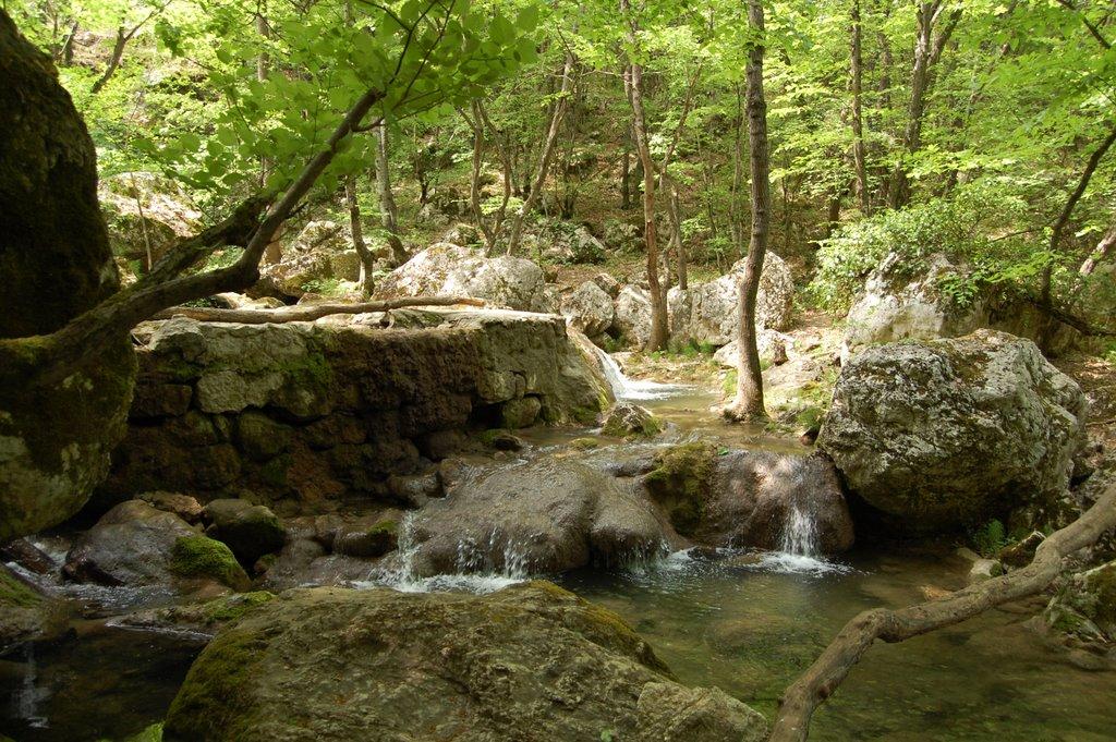 Резервне з panoramio.com (ч.4) - Резервное
