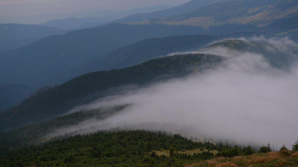 Говерла з panoramio.com (ч.2) - Говерла