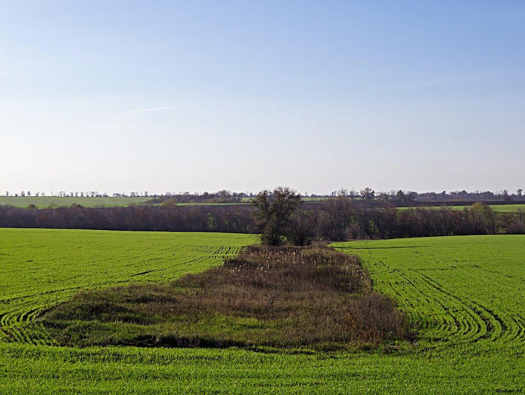 Павлопілля з panoramio.com - Павлополье