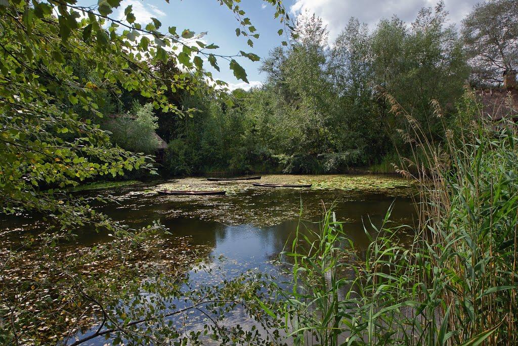 Софіївська Борщагівка з panoramio.com (ч.2) - Софиевская Борщаговка