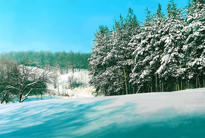 Сазоно-Баланівка з panoramio.com - Сазоно-Баланівка