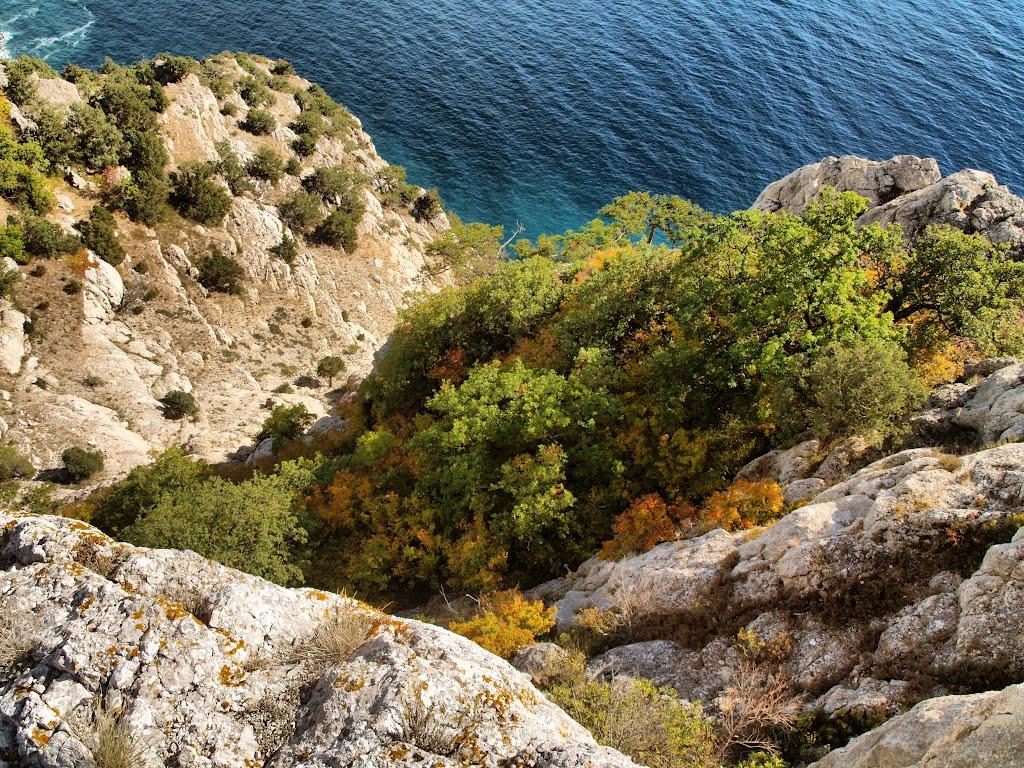 Резервне з panoramio.com (ч.4) - Резервное