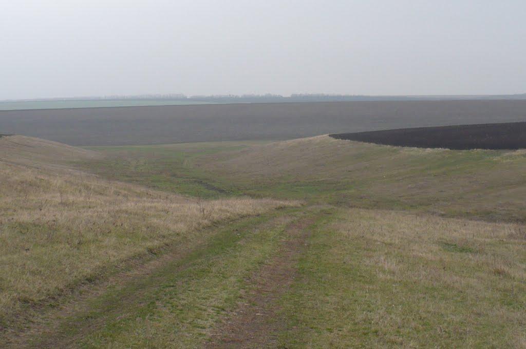 Червона Балка з panoramio.com - Червона Балка