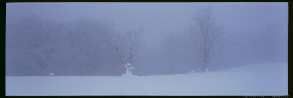 Тростянець з panoramio.com (ч.2) - Тростянець