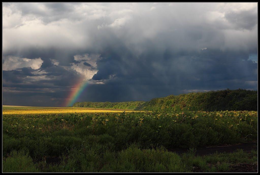 Богородичне з panoramio.com - Богородичне