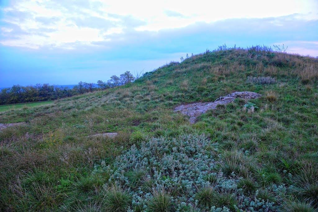 Ланцеве з panoramio.com - Ланцеве