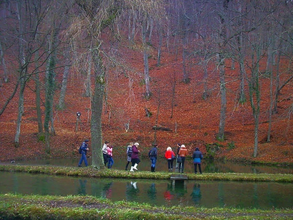 Розовий з panoramio.com (ч.2) - Розовий