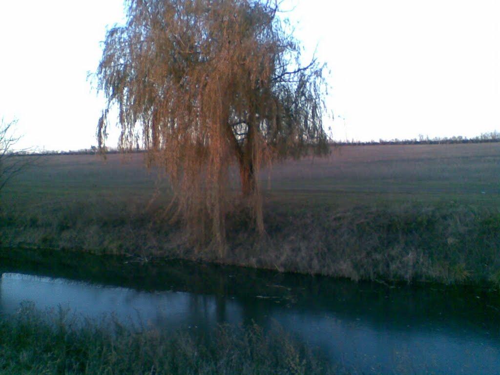 Зачатівка з panoramio.com - Зачатівка