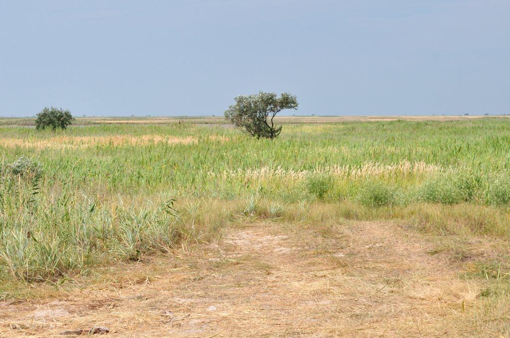 Подспор'є з panoramio.com - Подспор'є