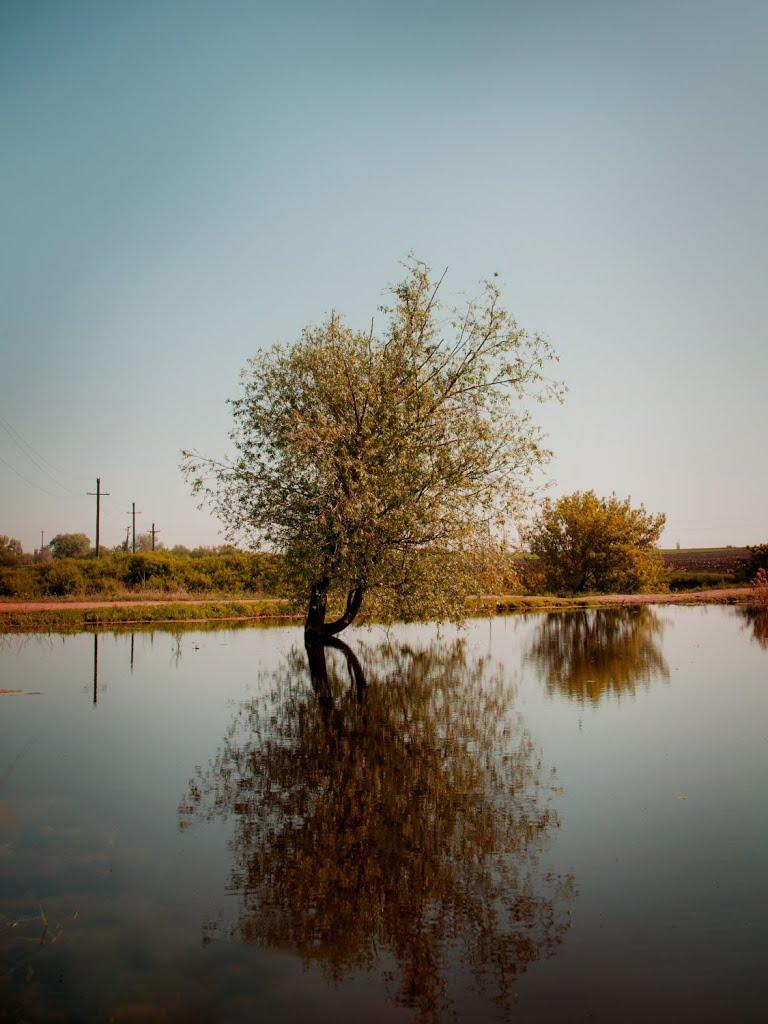 Серебрянка з panoramio.com - Серебрянка