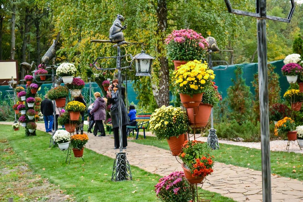 Лісне з panoramio.com - Лісне