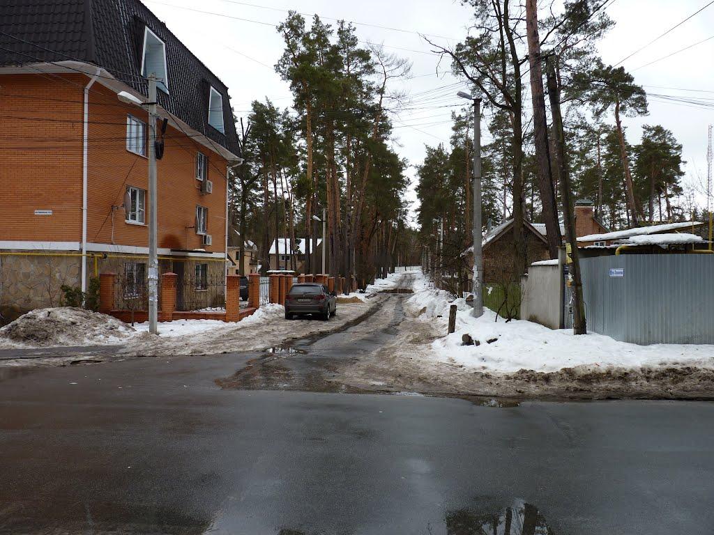 Ірпінь з panoramio.com (ч.2) - Ирпень