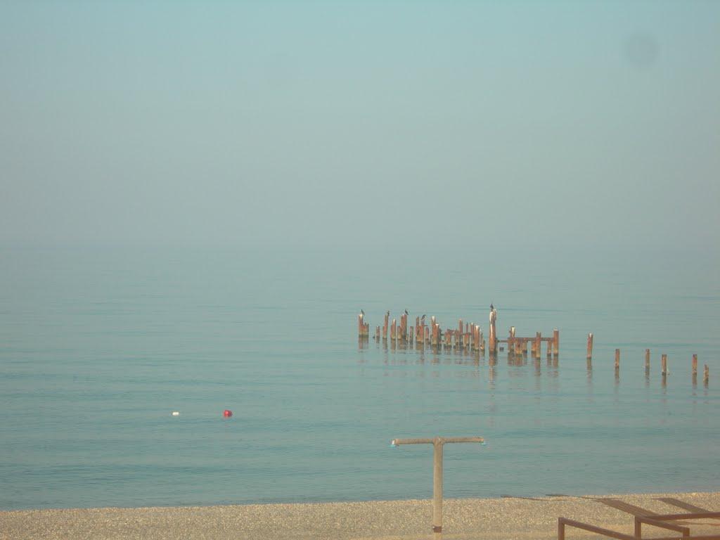 Прибережне з panoramio.com - Прибережне