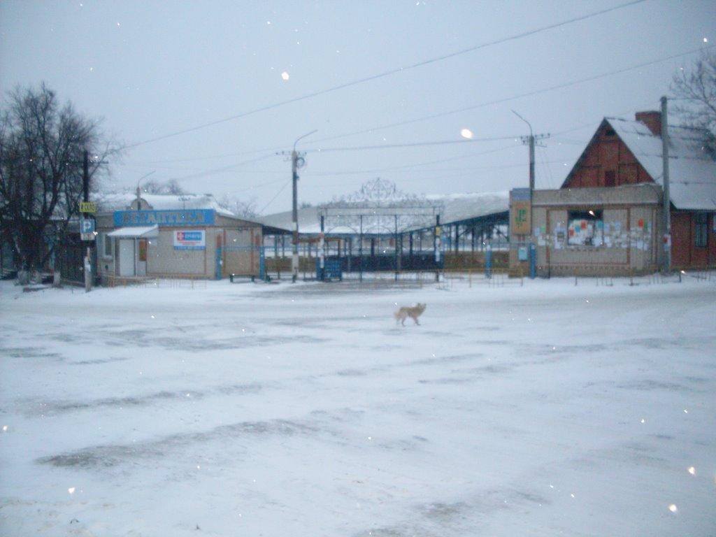Гайсин з panoramio.com (ч.3) - Гайсин