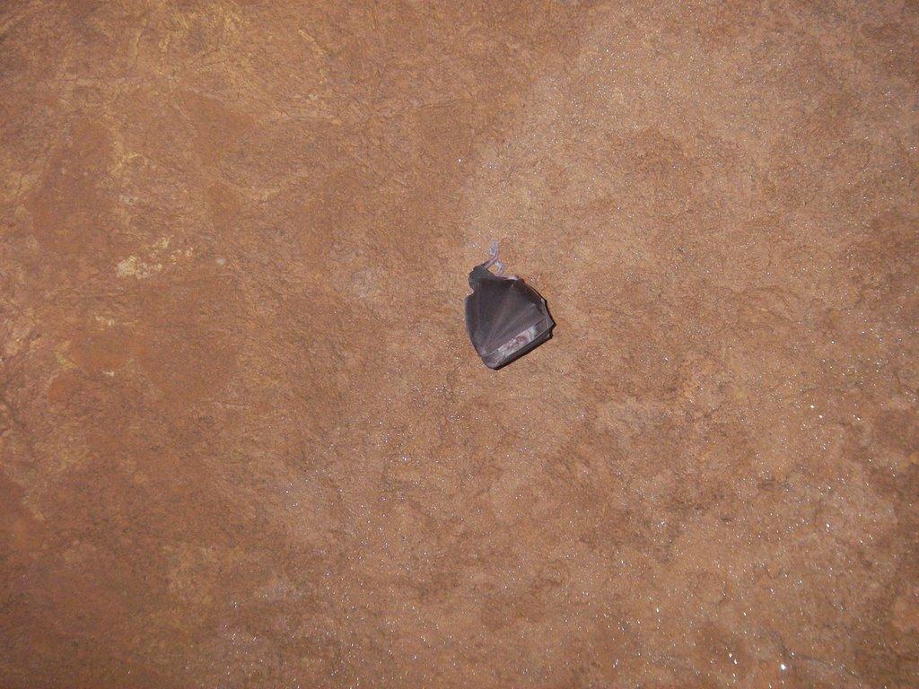 Генеральське з panoramio.com (ч.3) - Генеральське