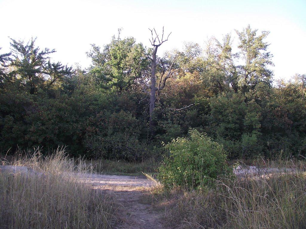 Глибочка з panoramio.com - Глибочка