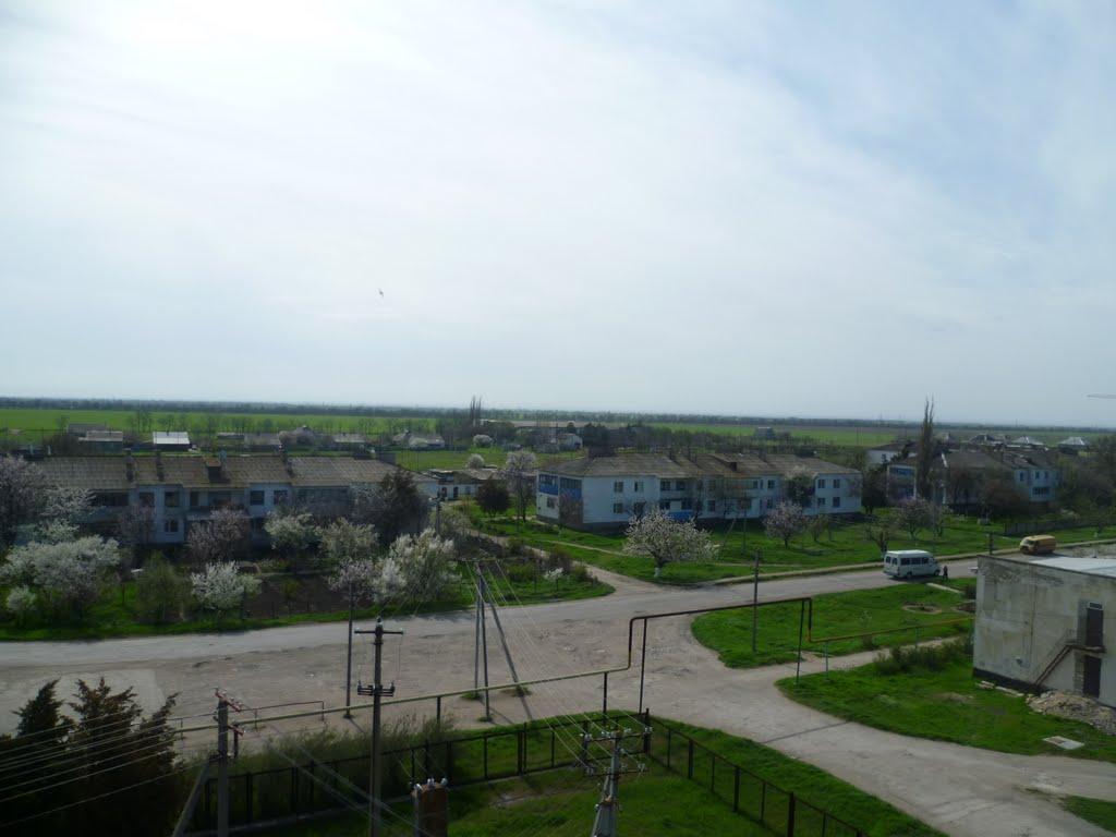 Полтавка з panoramio.com - Полтавка