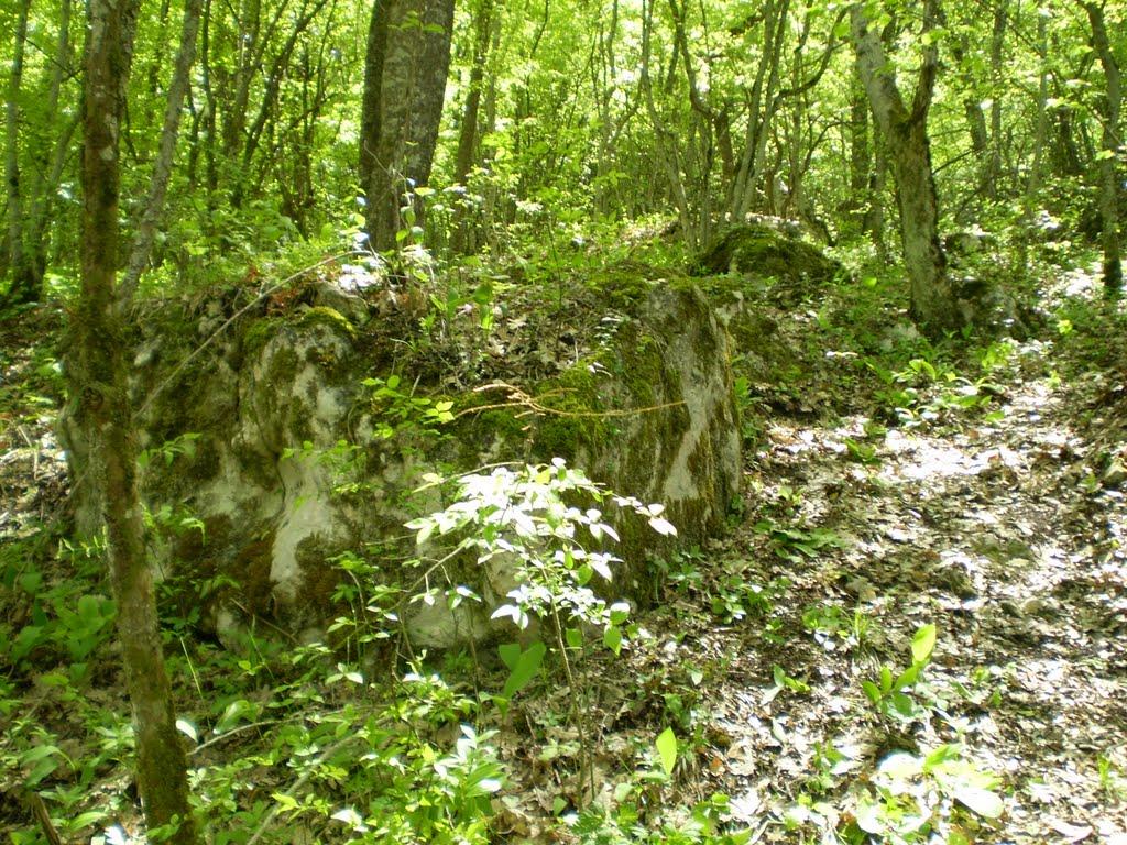 Залісне з panoramio.com (ч.2) - Залісне