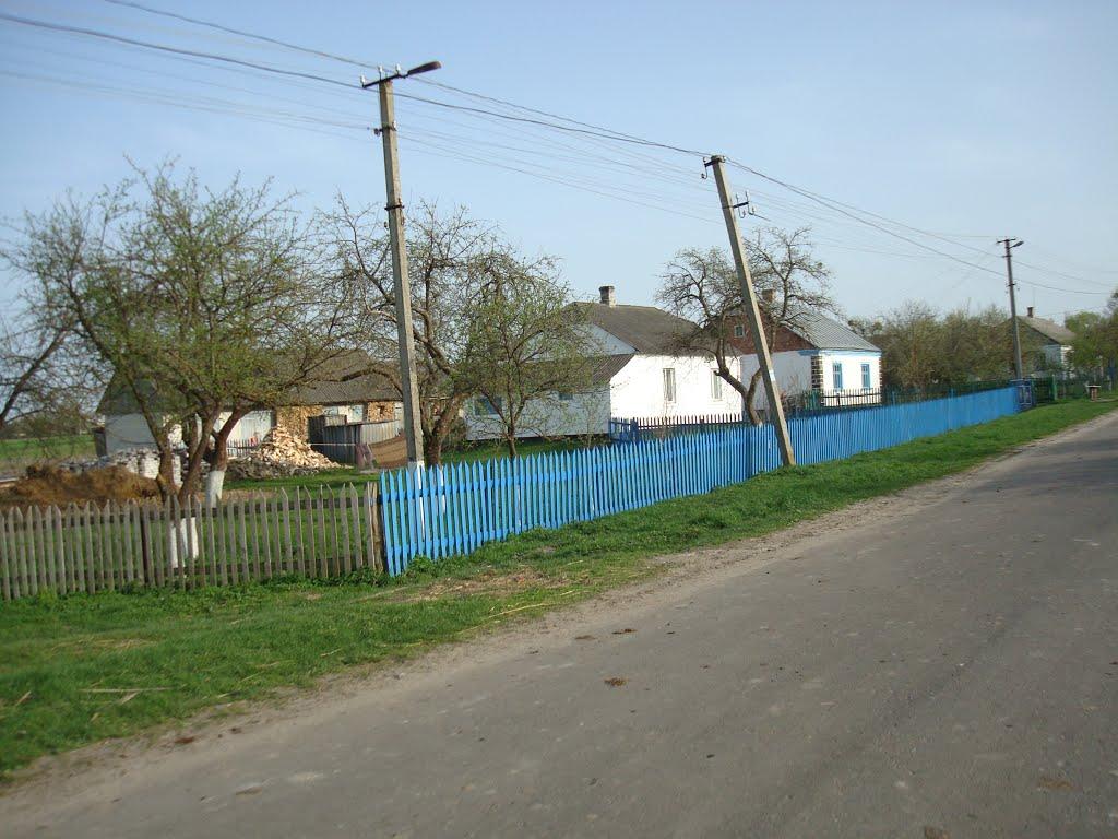 Дроздні з panoramio.com - Дроздні