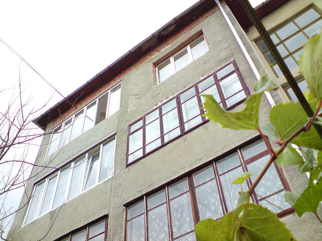 Бережани з panoramio.com