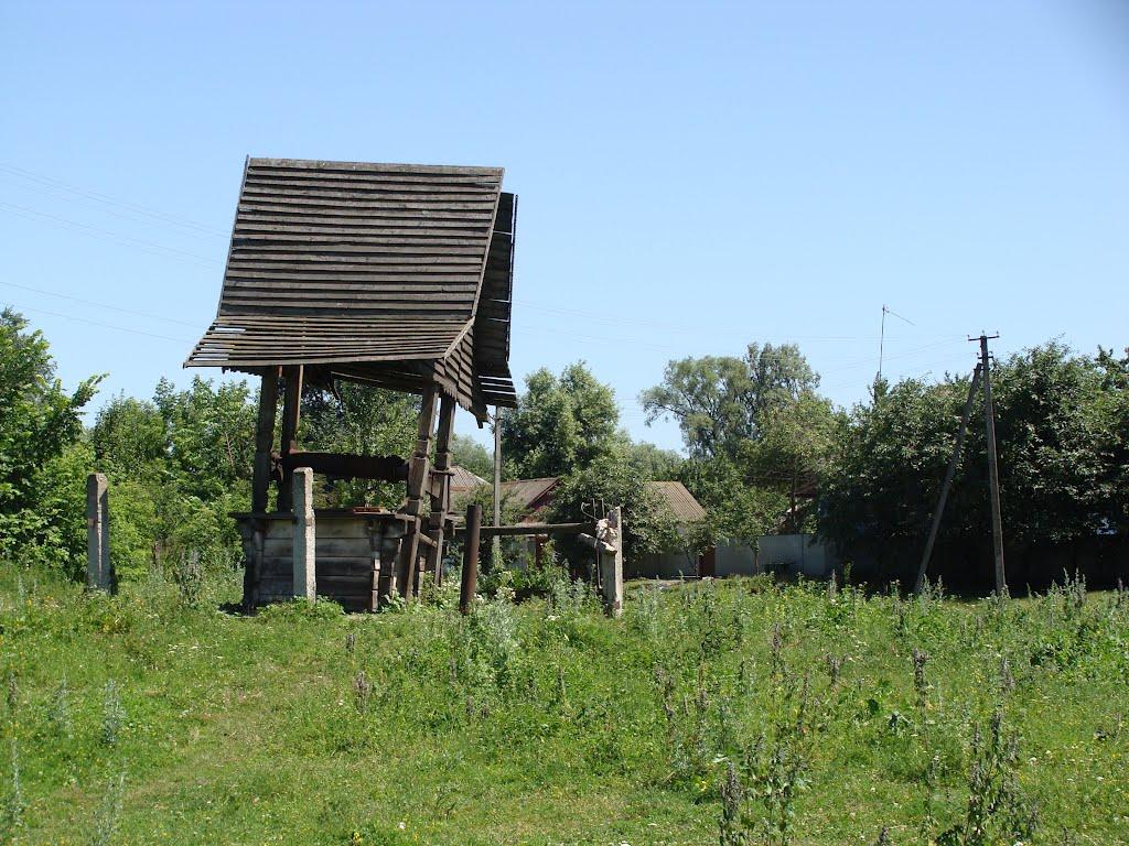 В'язове з panoramio.com - В'язове