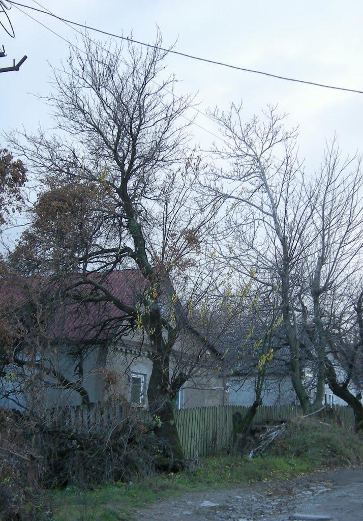 Дніпродзержинськ з panoramio.com (ч.4) - Дніпродзержинськ