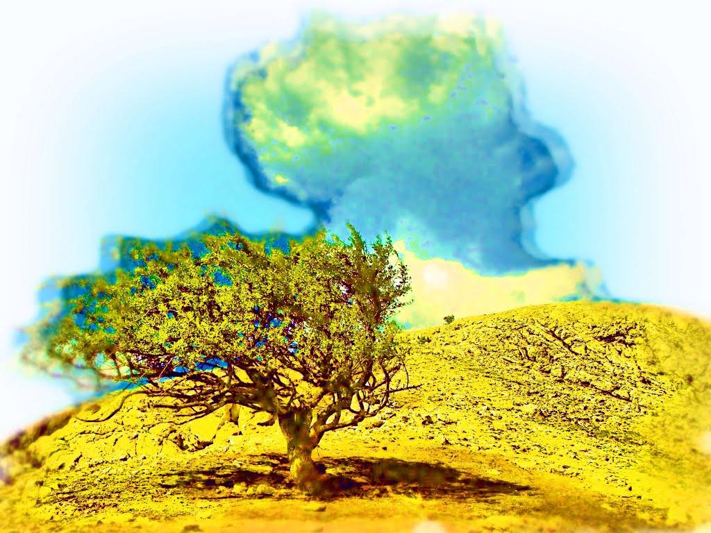 Кизилове з panoramio.com - Кизилово