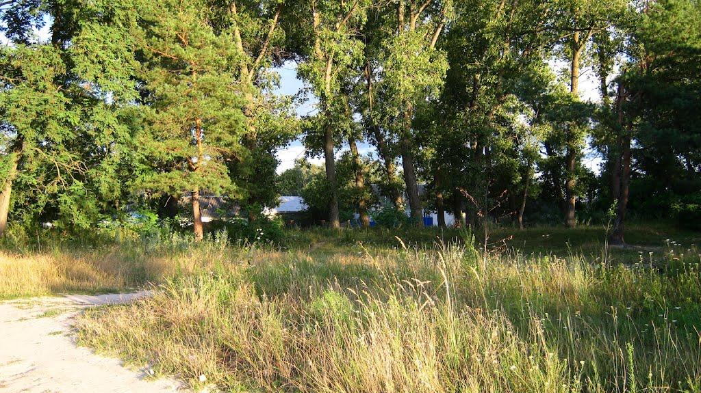 Богданівка з panoramio.com