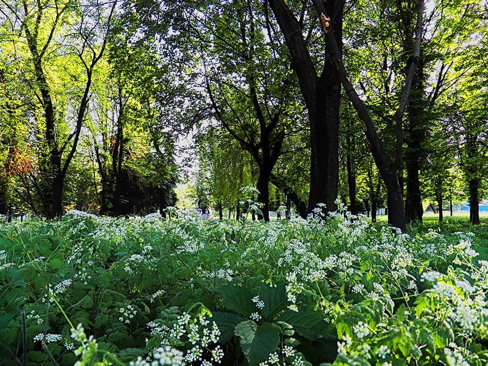 Єнакієве з panoramio.com (ч.3) - Yenakievе