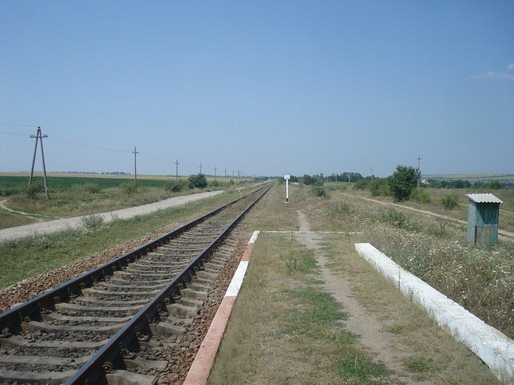 Велика Слобідка з panoramio.com - Велика Слобідка