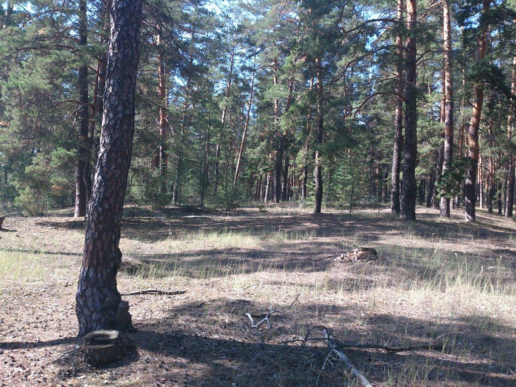 Яцьківка з panoramio.com - Яцьківка