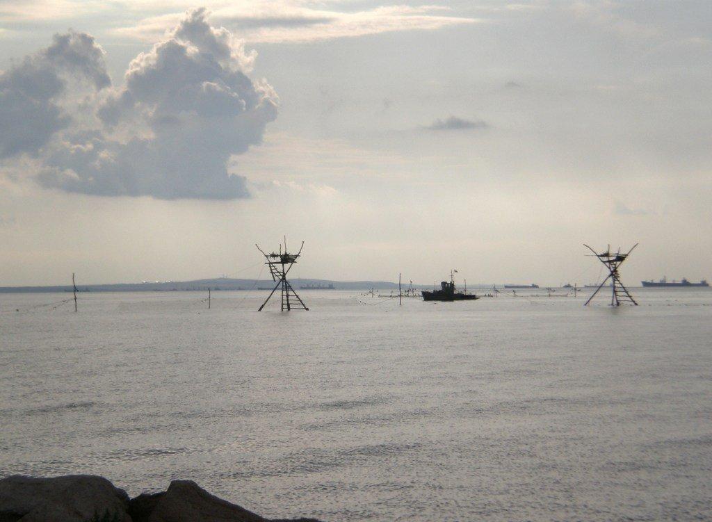 Завітне з panoramio.com - Завітне