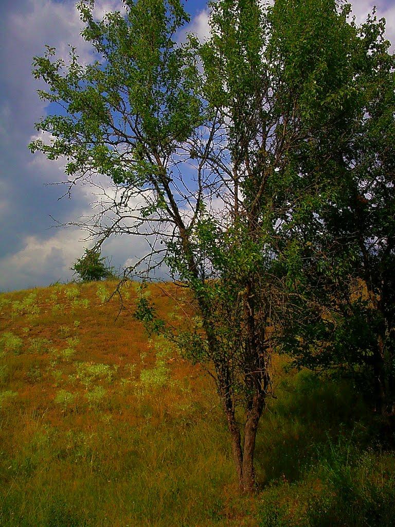 Голубинка з panoramio.com - Голубинка