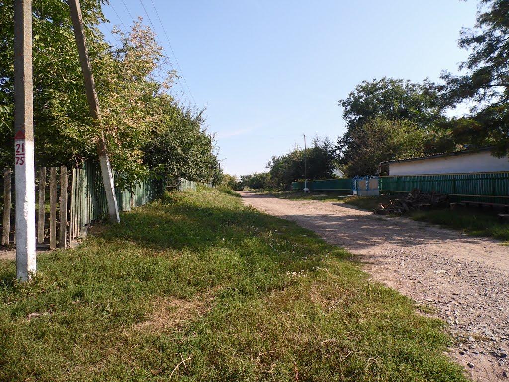 Рогачі з panoramio.com - Рогачі