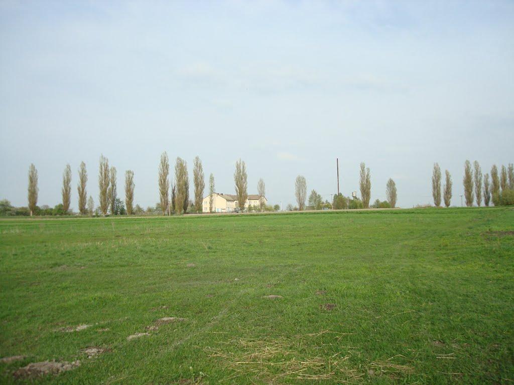 Дроздні з panoramio.com - Дроздни