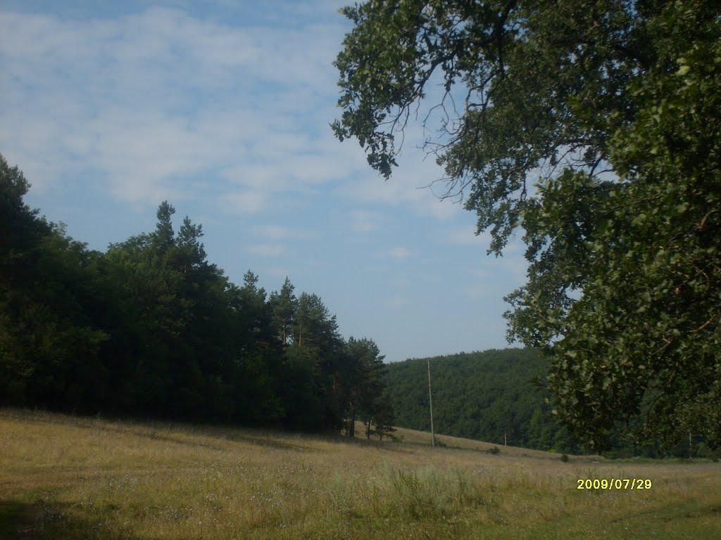 П'ятихатка з panoramio.com - П'ятихатка