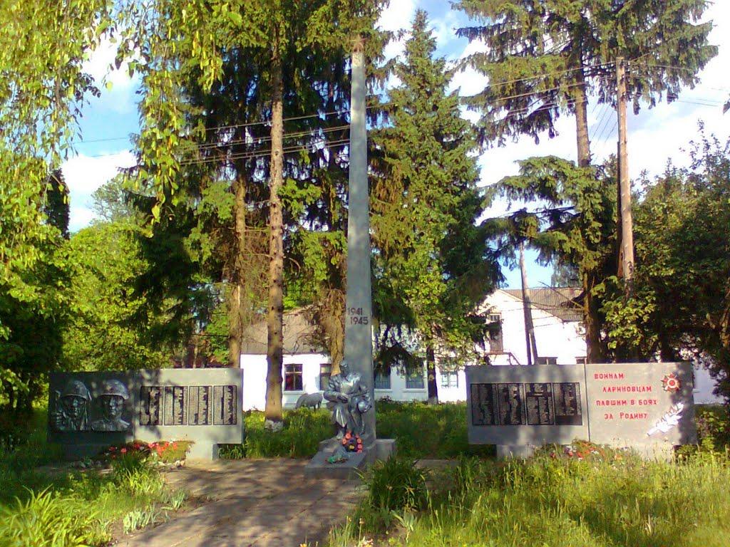 Ларинівка з panoramio.com - Ларинівка