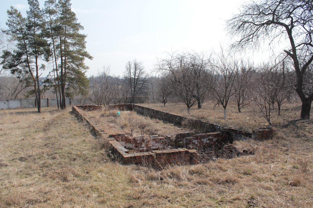 Дублянка з panoramio.com - Дублянка