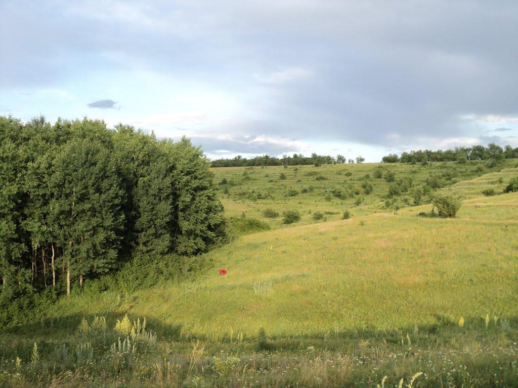 Ями з panoramio.com - Ями