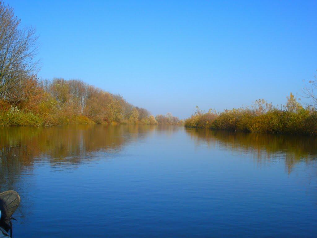 Підліски з panoramio.com - Pidlisky